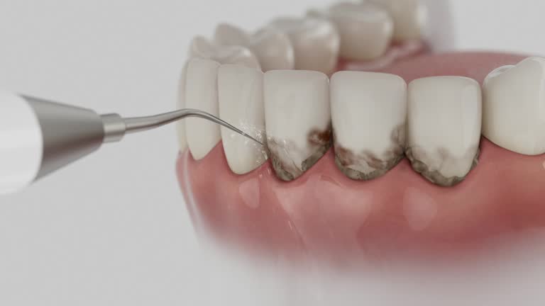 Reliable Dental contractor in Morrisville, NC by Dentist Open Now